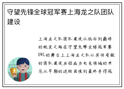 守望先锋全球冠军赛上海龙之队团队建设