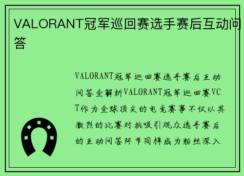 VALORANT冠军巡回赛选手赛后互动问答